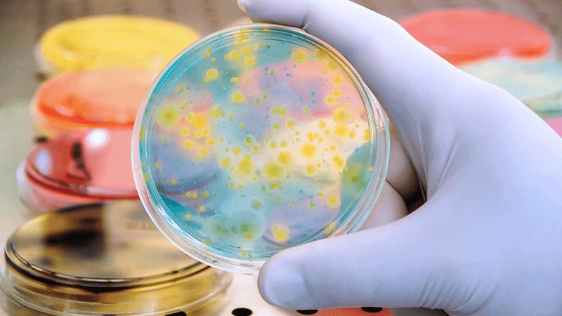 细胞工厂设备选型：关键因素与误区解析