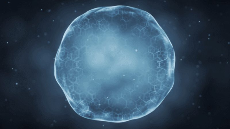 细胞培养实验方案：构建高效科研的基石**