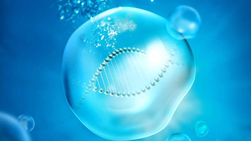 环保酶制剂：绿色生物科技的基石**