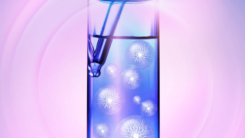 分子生物学试剂分类标准解析：如何选择合适的代理**