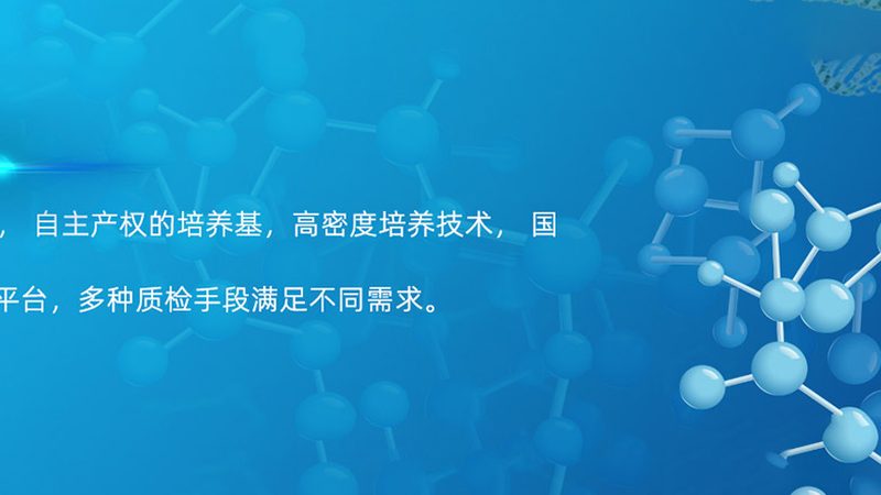 医用细胞工厂安装：五大关键环节不容忽视**