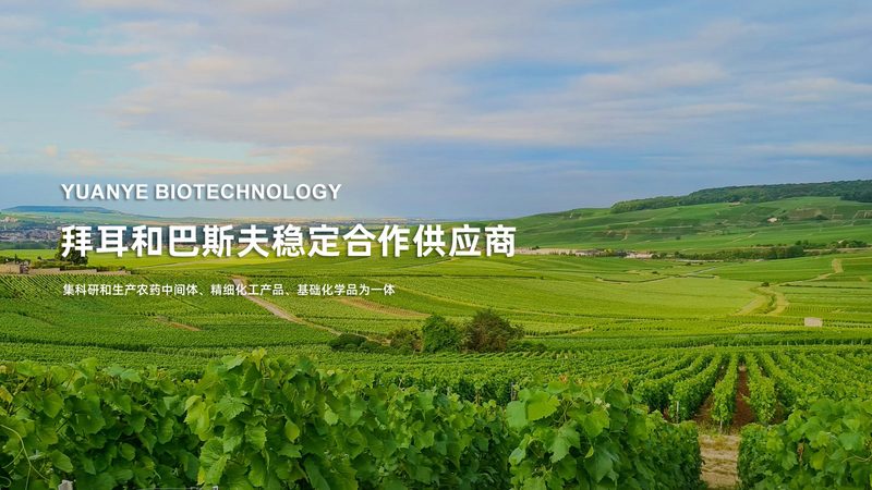 细胞工厂纯化工艺：揭秘其开发流程与关键要点