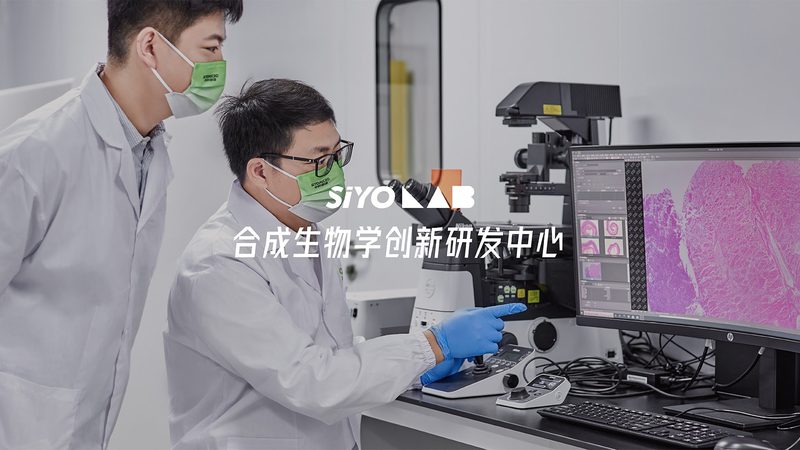 基因检测：揭秘运动基因检测的奥秘与选择