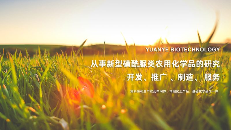 RNA提取试剂盒：揭秘其批发价格背后的秘密