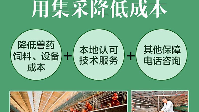 生物科技代理加盟，揭秘年费用构成与关键考量**