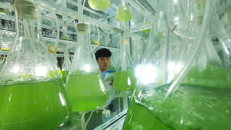 初创企业如何选择生物科技公司合作